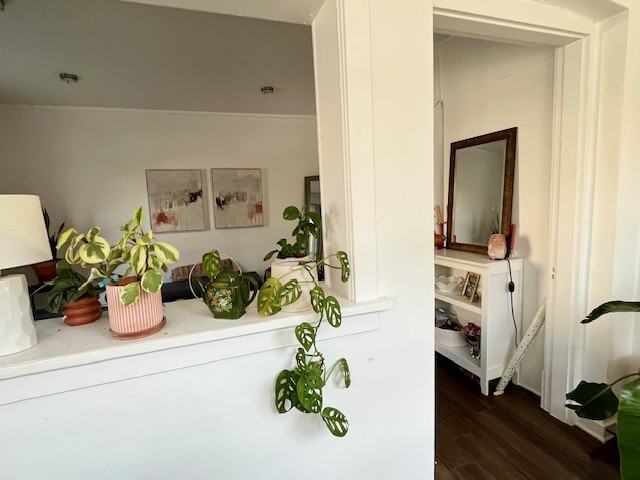 207 N. Pickney Street207-1 #207-1 - Photo 6 of 24