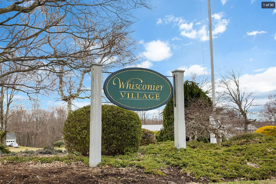 41 Whisconier Vlg #NA - Photo 3 of 20