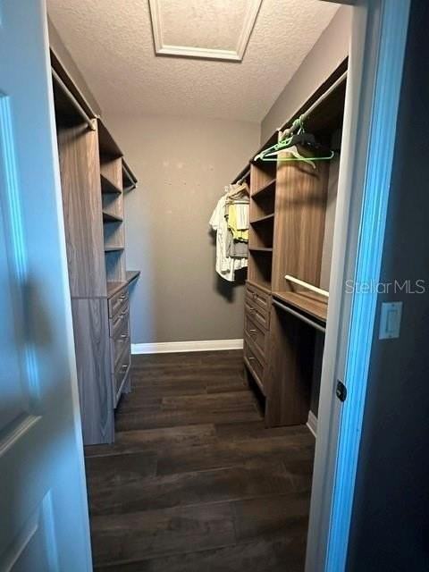 2931 Willow Creek Ln - Photo 6 of 9