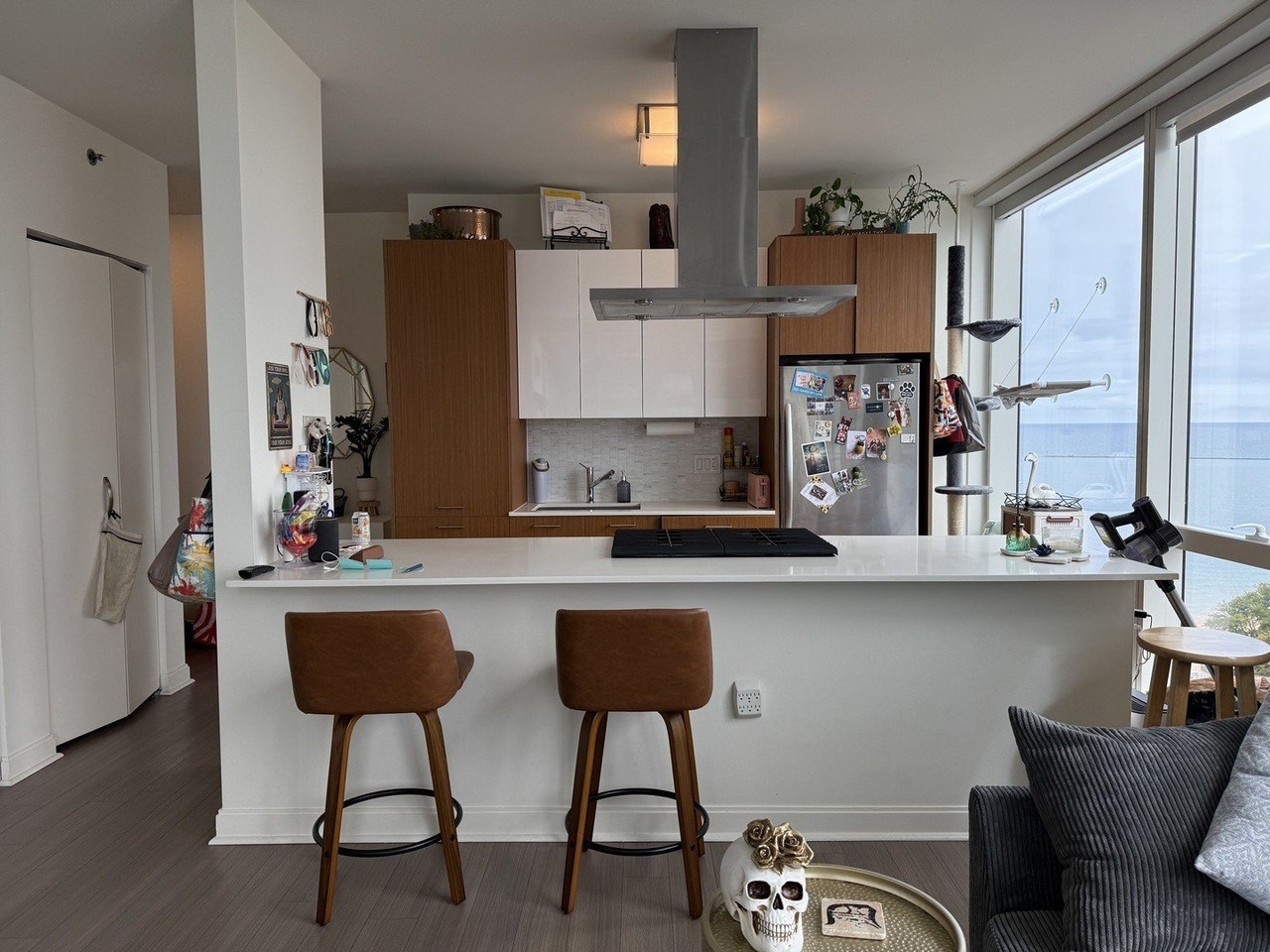 500 N Lake Shore Dr #1614 - Photo 3 of 20