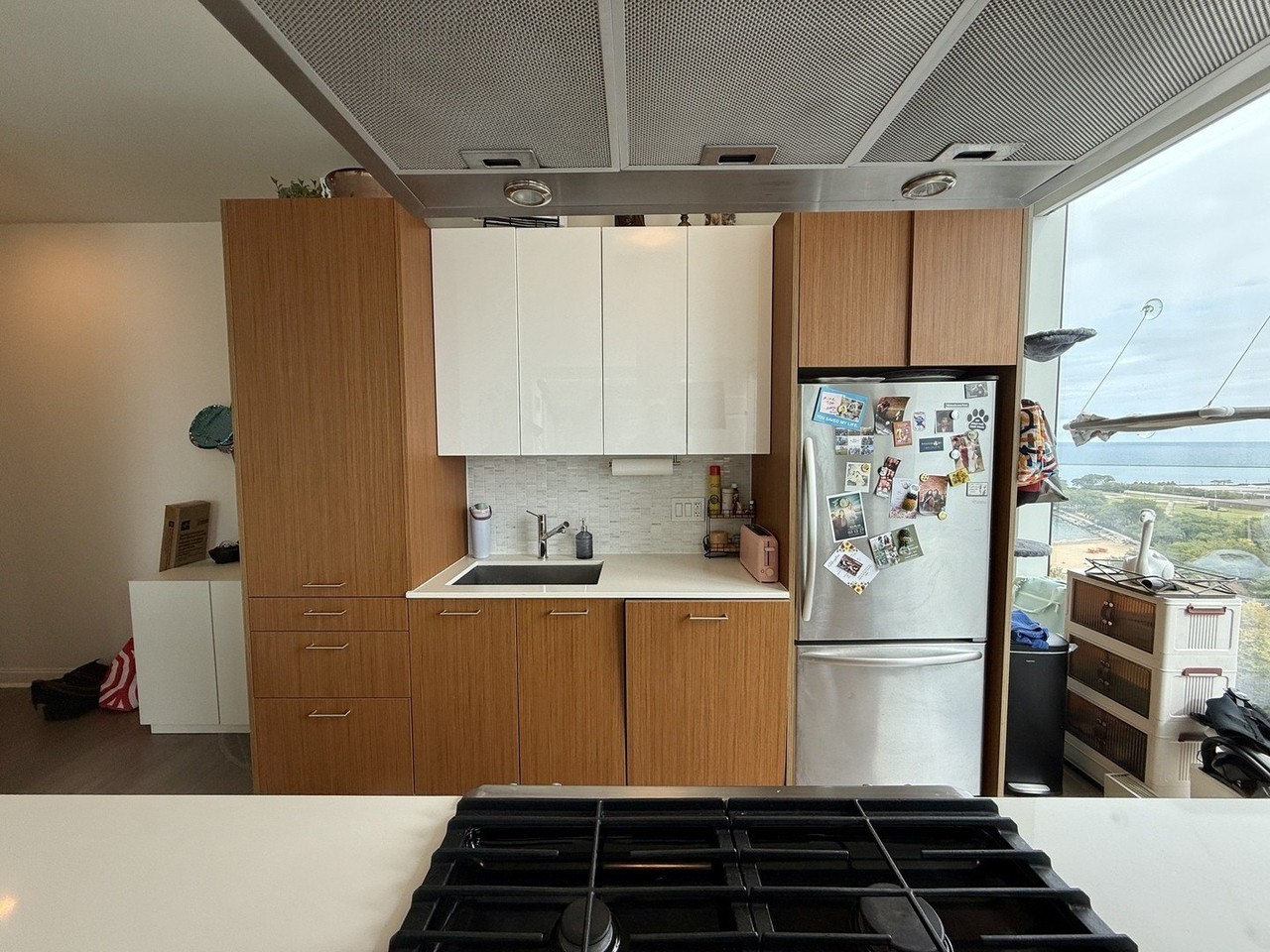 500 N Lake Shore Dr #1614 - Photo 5 of 20