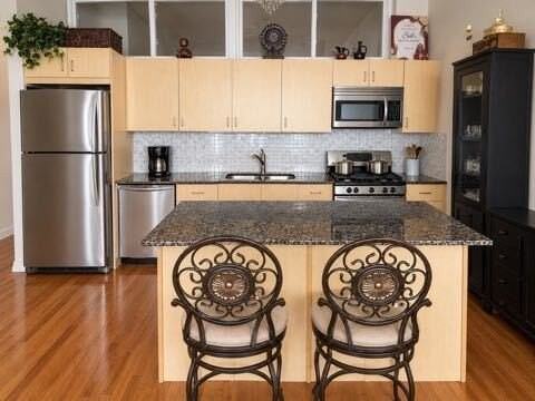 1720 S Michigan Ave #2202 - Photo 3 of 9
