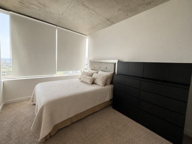 1720 S Michigan Ave #2202 - Photo 4 of 9
