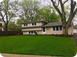 featured image of 340 Sycamore Dr