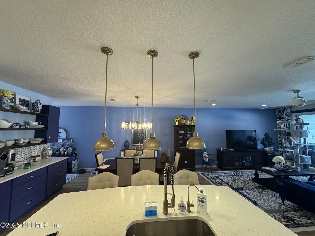554 Pine Bluff Dr - Photo 4 of 36