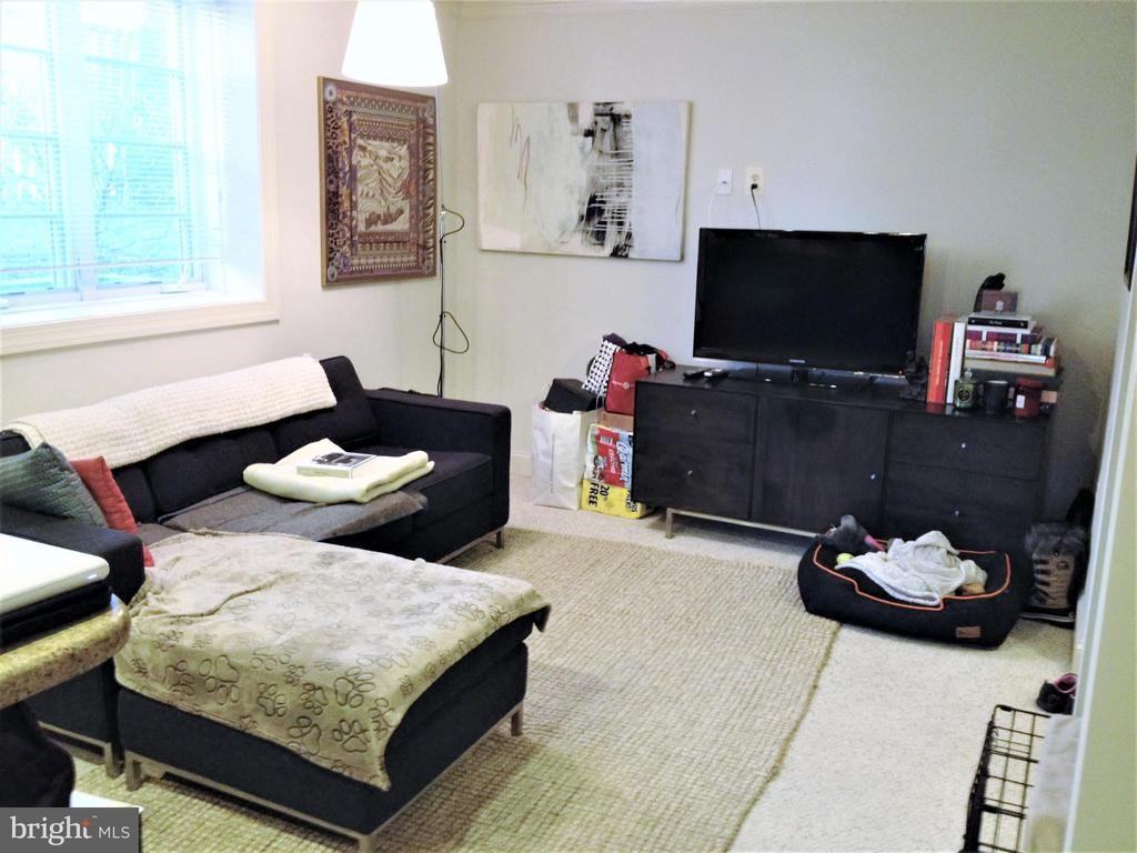 1219 Oronoco St ##103 - Photo 2 of 30