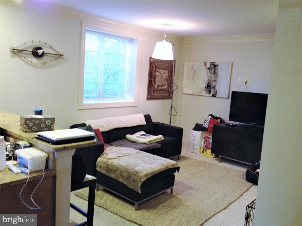 1219 Oronoco St ##103 - Photo 3 of 30