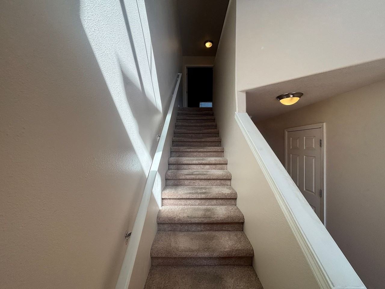 4125 Geranium Loop Ne - Photo 6 of 14