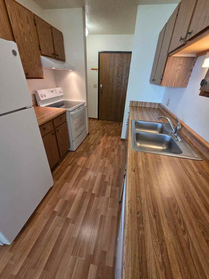 RidgeView 480 - Photo 5 of 13