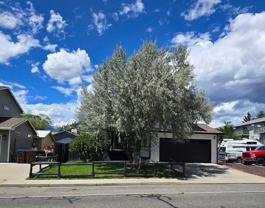 2603 Acacia Ave - Photo 1 of 1