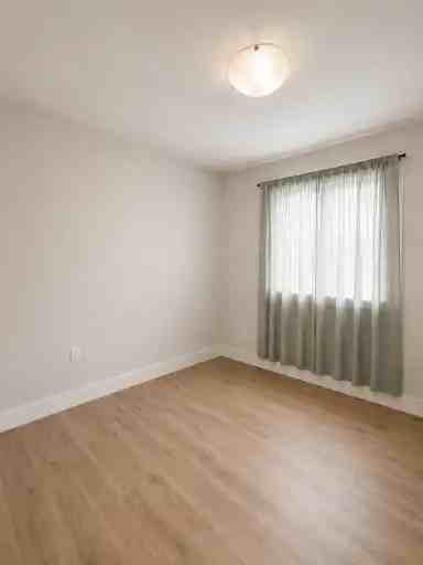 236 Codrington St #ADU - Photo 4 of 13
