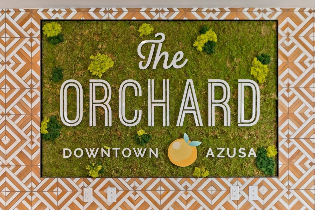 The Orchard - Photo 3 of 50