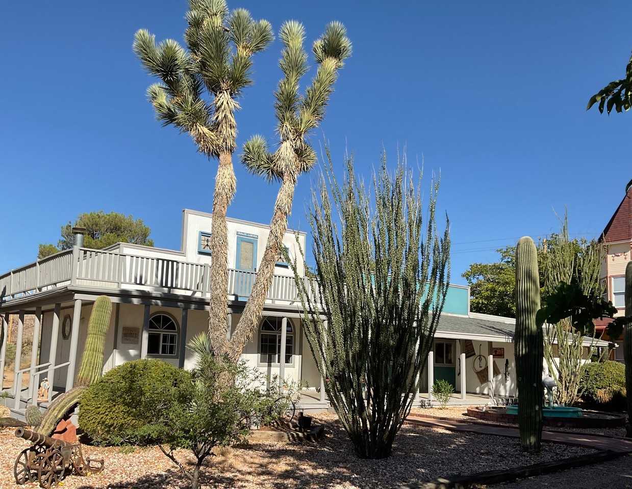 2392 E Calle Castano #RANCH