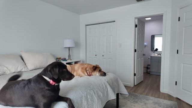213 Hull Ave #NA - Photo 6 of 14