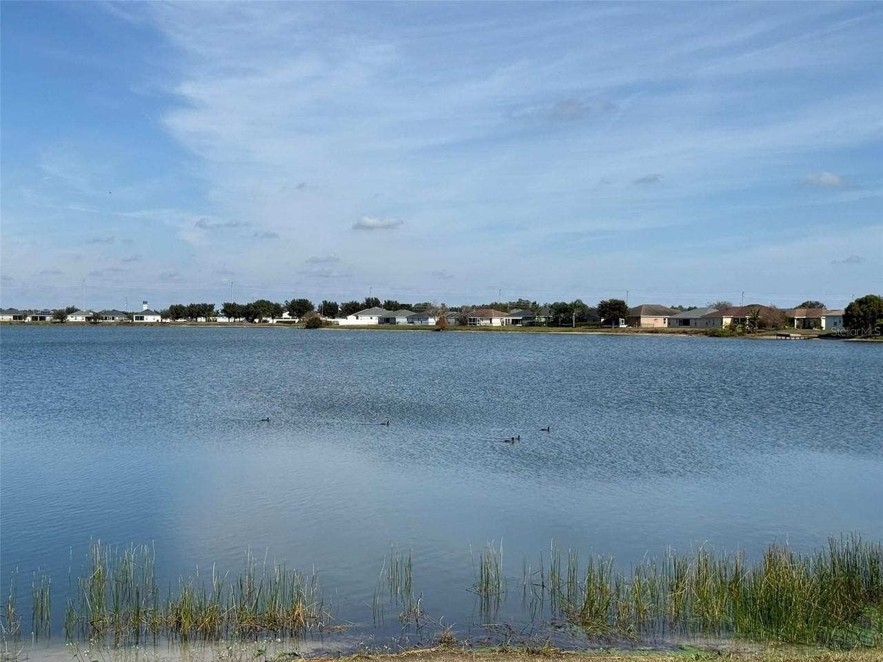 5303 White Egret Ln - Photo 4 of 34