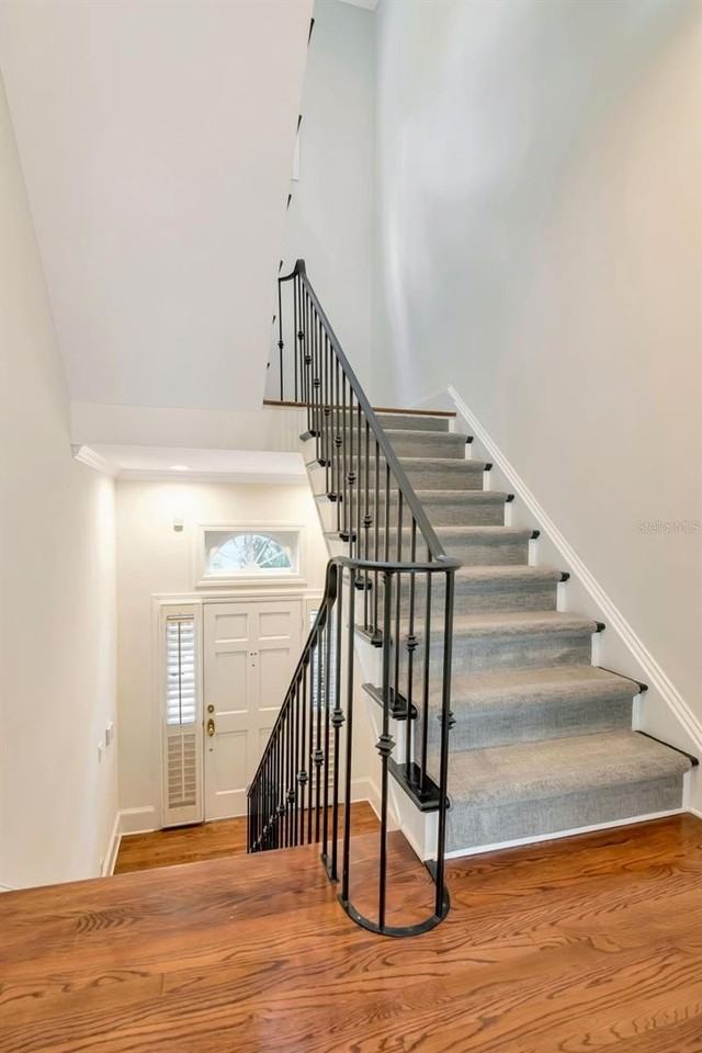 6212 Bayshore Blvd #G - Photo 7 of 40