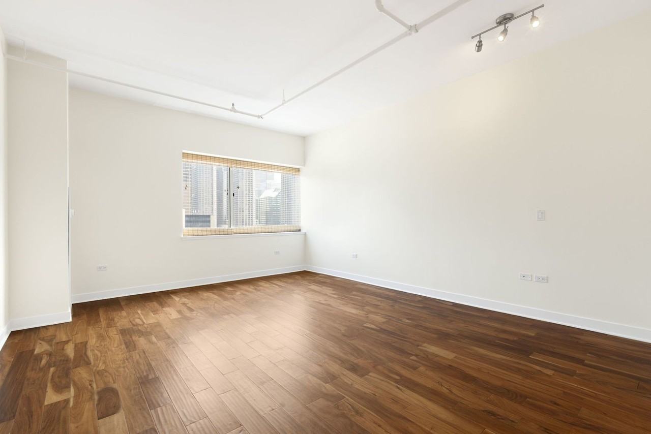 737 W Washington Blvd #1204 - Photo 6 of 9