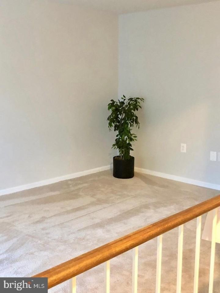 4429 Holly Ave - Photo 4 of 11