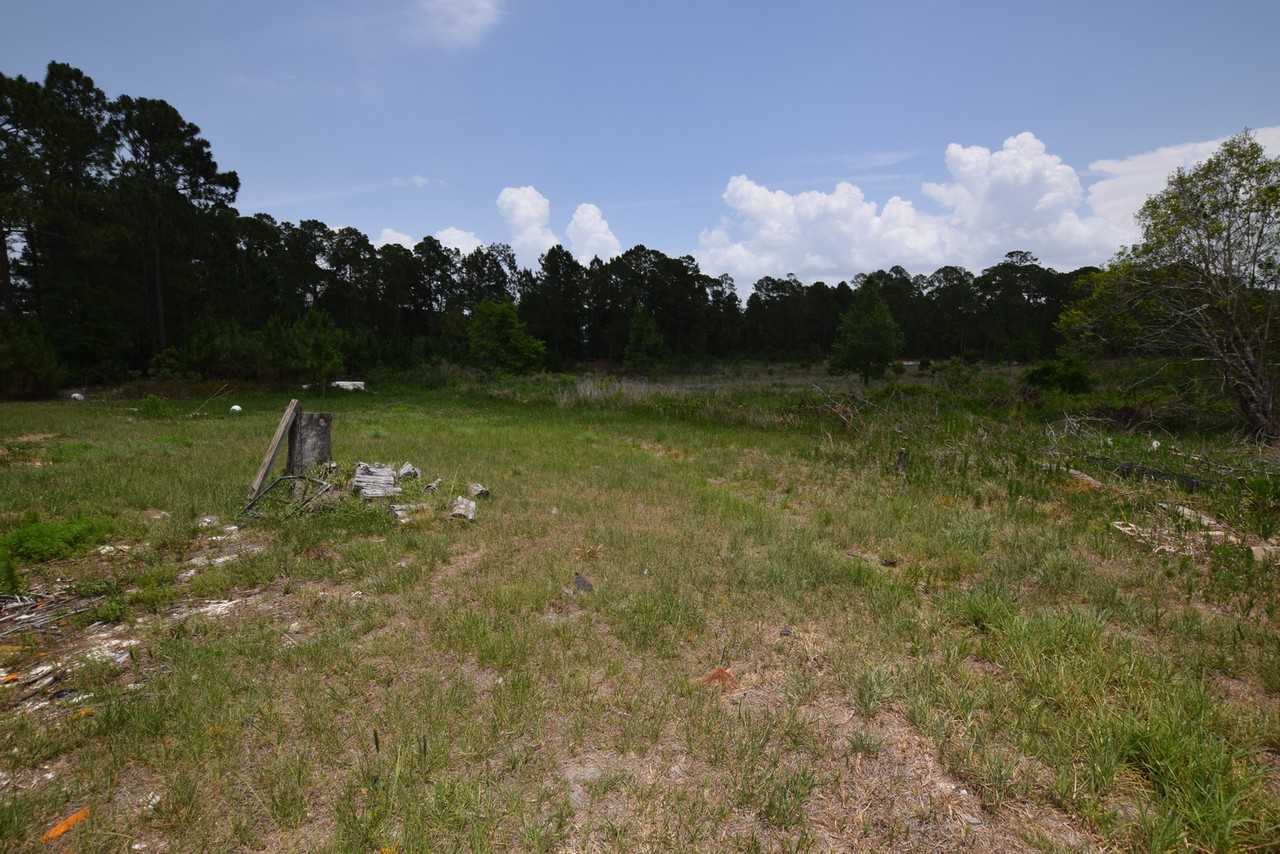 40404 Holly Branch Rd - Photo 3 of 18