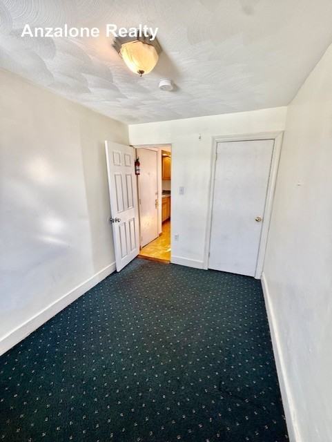 3 Carmine St - Photo 7 of 19