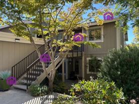839 Terra California Dr - Photo 1 of 1