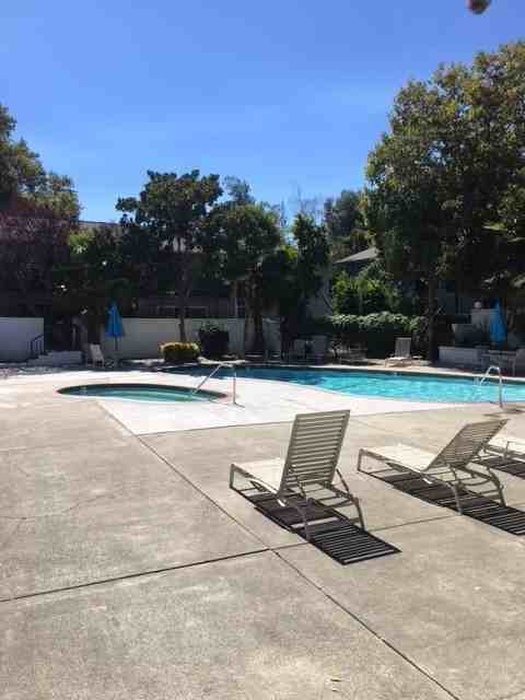 9085 Alcosta Blvd #305 - Photo 7 of 19