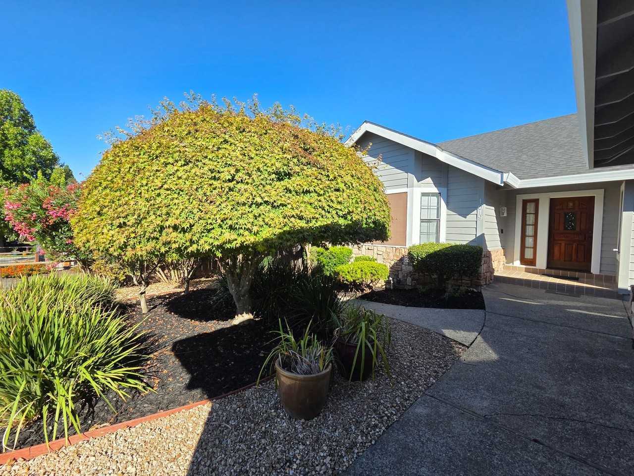 1019 Rancho Lindo Dr - Photo 2 of 27