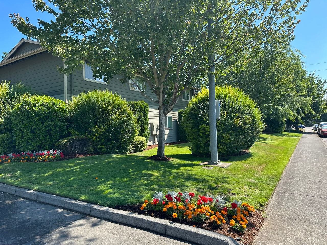 Woodbrook Apartments - Photo 2 of 50