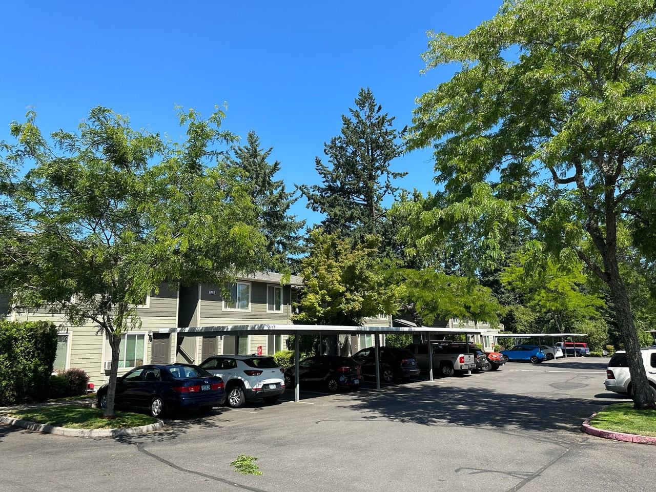 Woodbrook Apartments - Photo 4 of 50