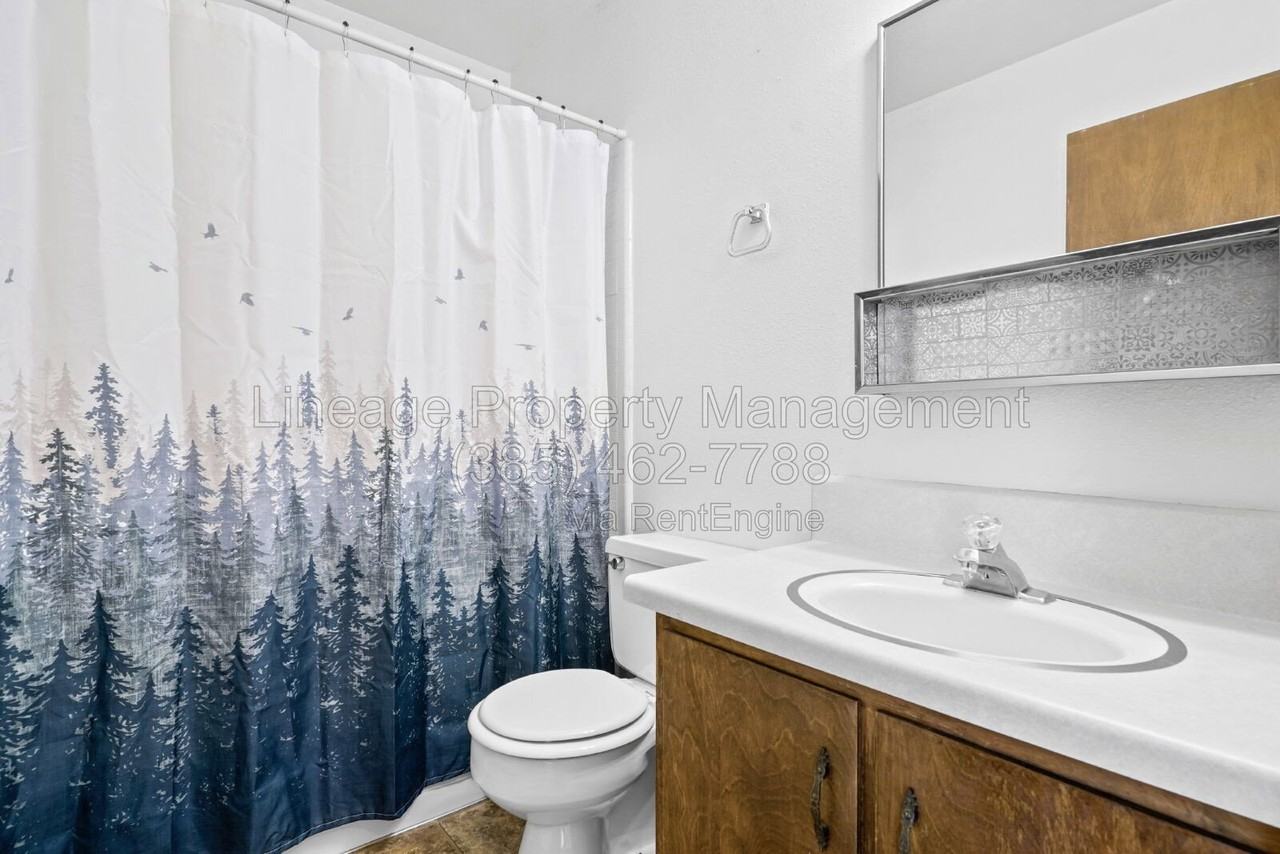 590 Canyon Rd #10 - Photo 5 of 16
