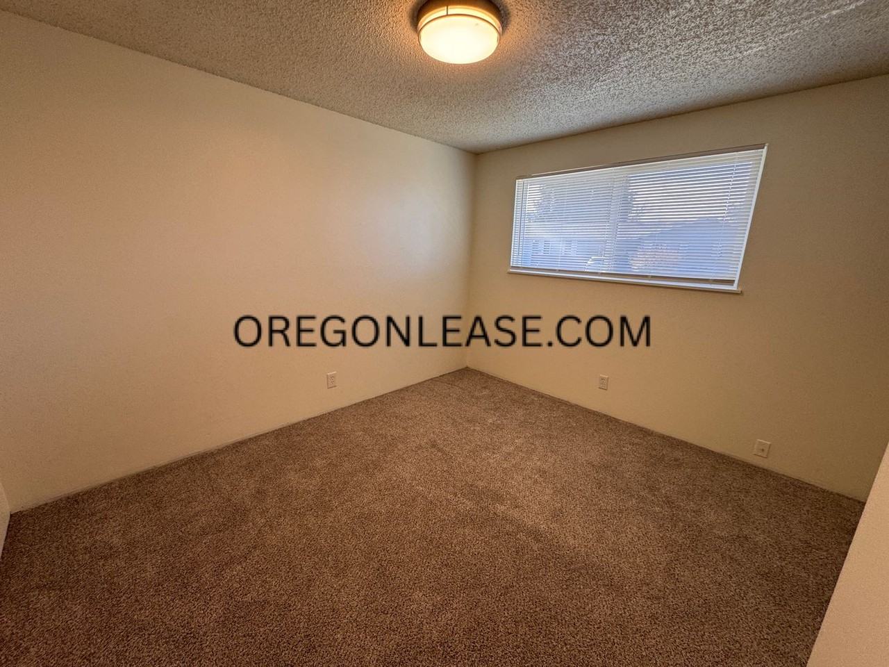 943 56th Pl - Photo 7 of 14