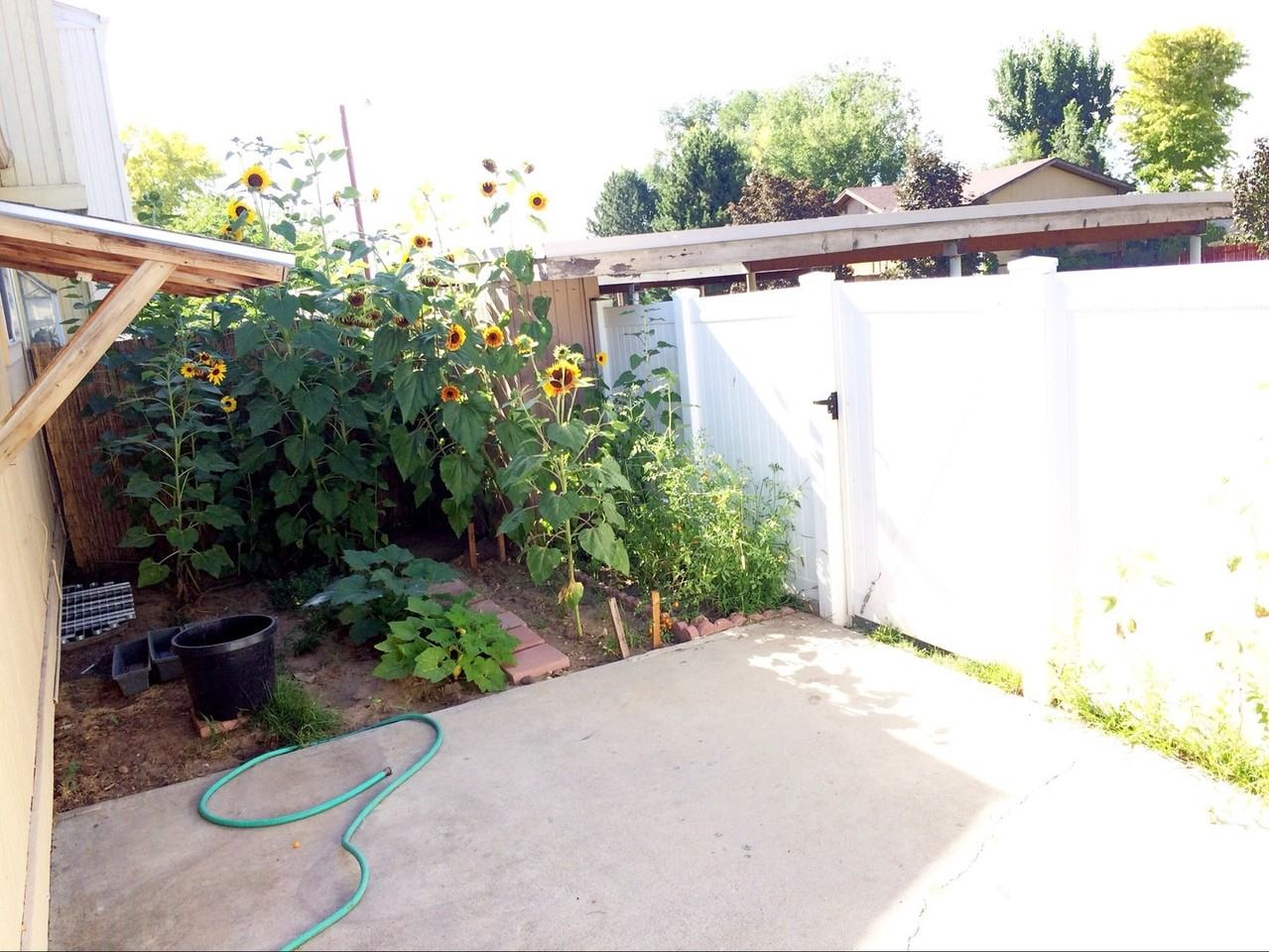 1142 Westlake Dr - Photo 5 of 10
