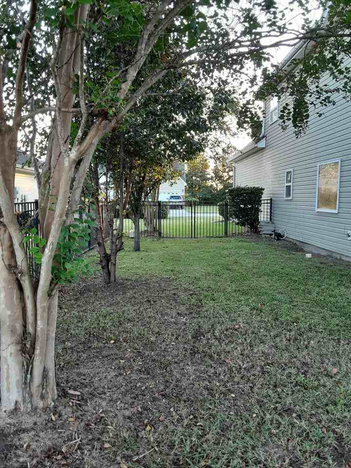 720 Rambler Ct - Photo 6 of 15
