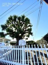 1522 Del Amo Blvd - Photo 1 of 1
