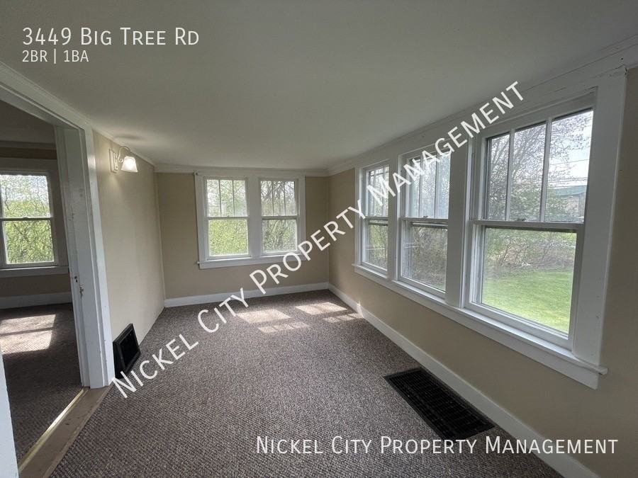 3449 Big Tree Rd - Photo 5 of 15