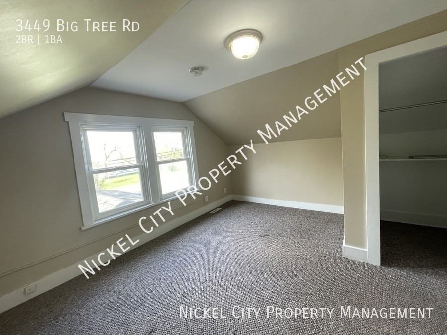 3449 Big Tree Rd - Photo 7 of 15