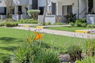 Wallace Court Apartments - Photo 1 of 1