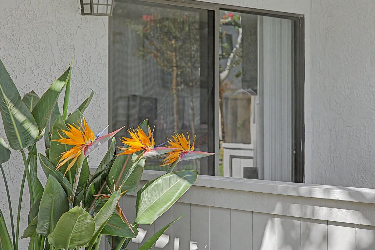 Wallace Court Apartments - Photo 2 of 22