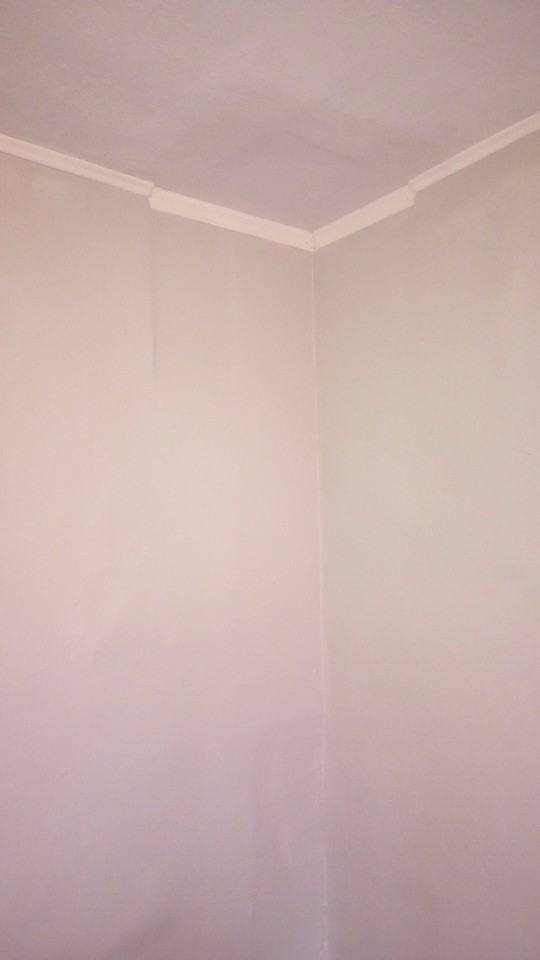 1218 Chandler St - Photo 2 of 15