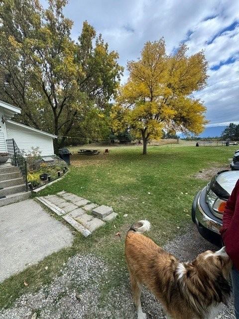 4245 Whitefish Stage - Photo 4 of 49