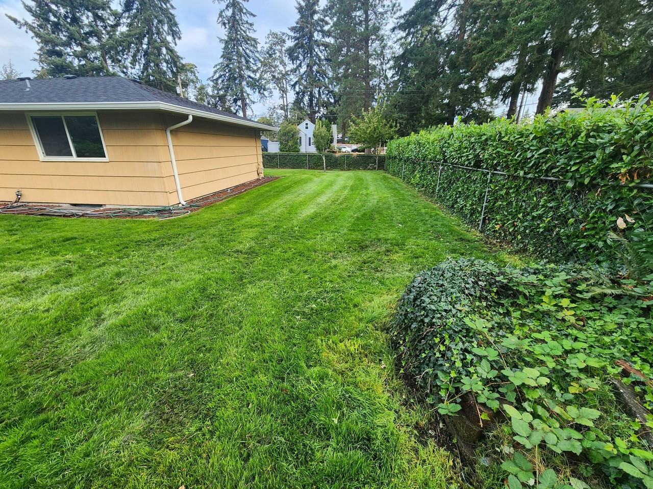 8708 Newgrove Ave Sw - Photo 3 of 18