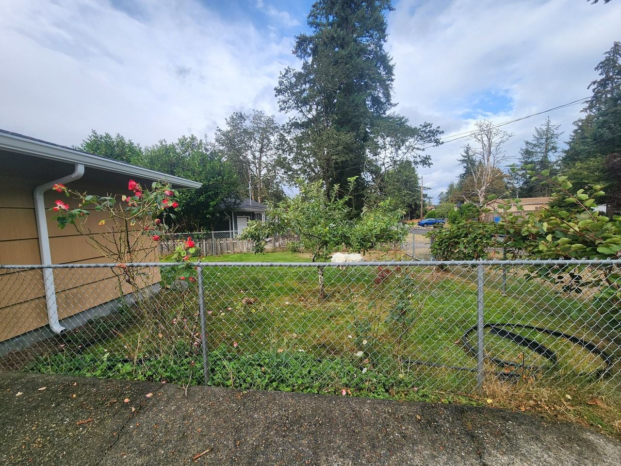 8708 Newgrove Ave Sw - Photo 5 of 18