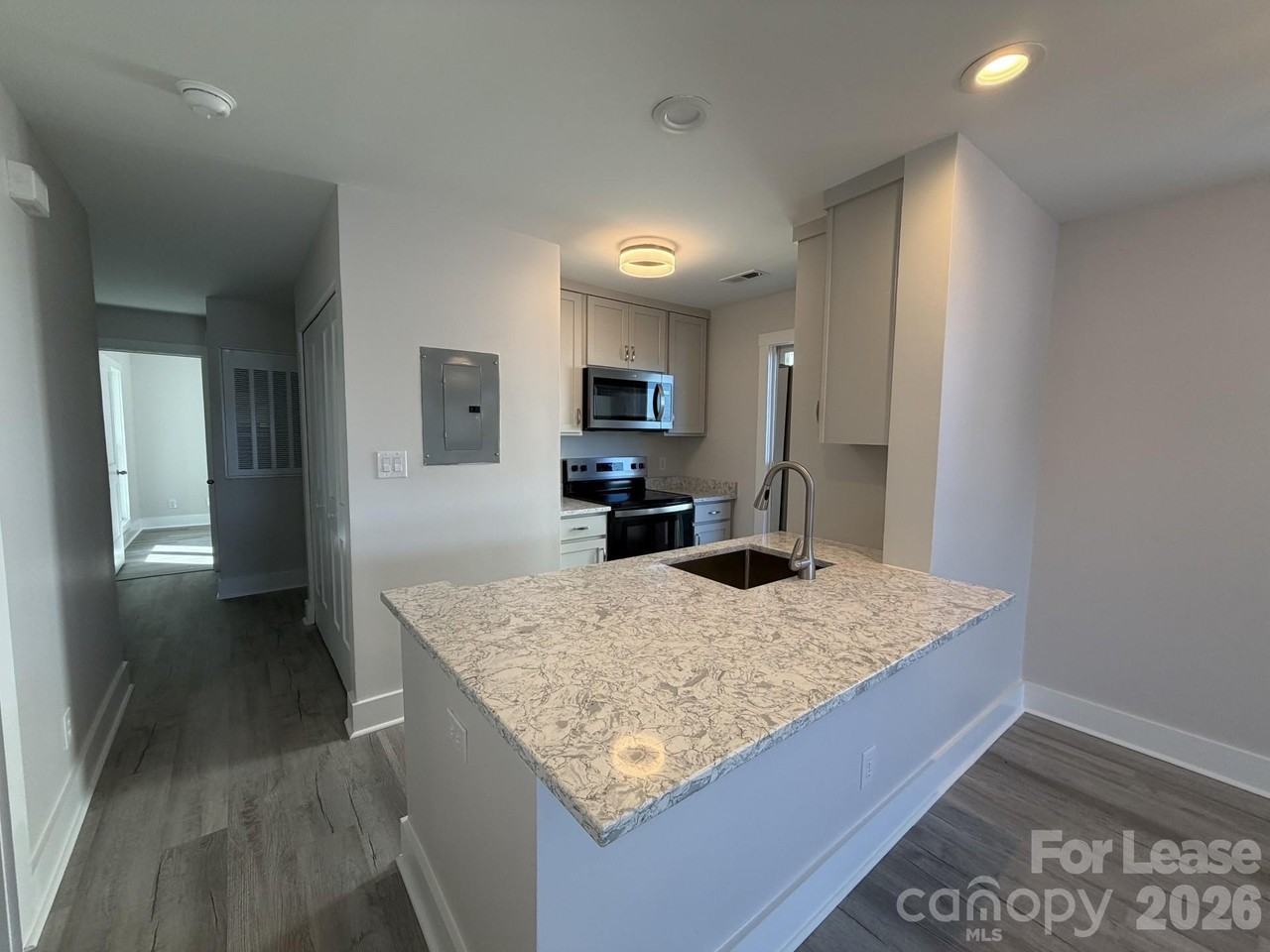 18729 Vineyard Point Ln - Photo 4 of 15