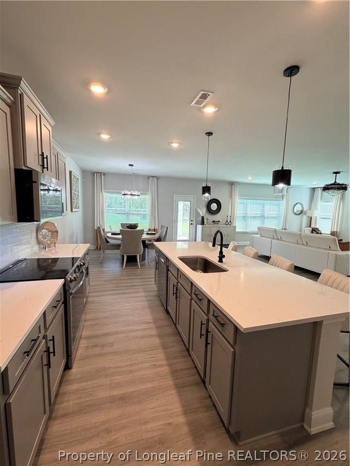 583 Sweet Potato Ln - Photo 6 of 17