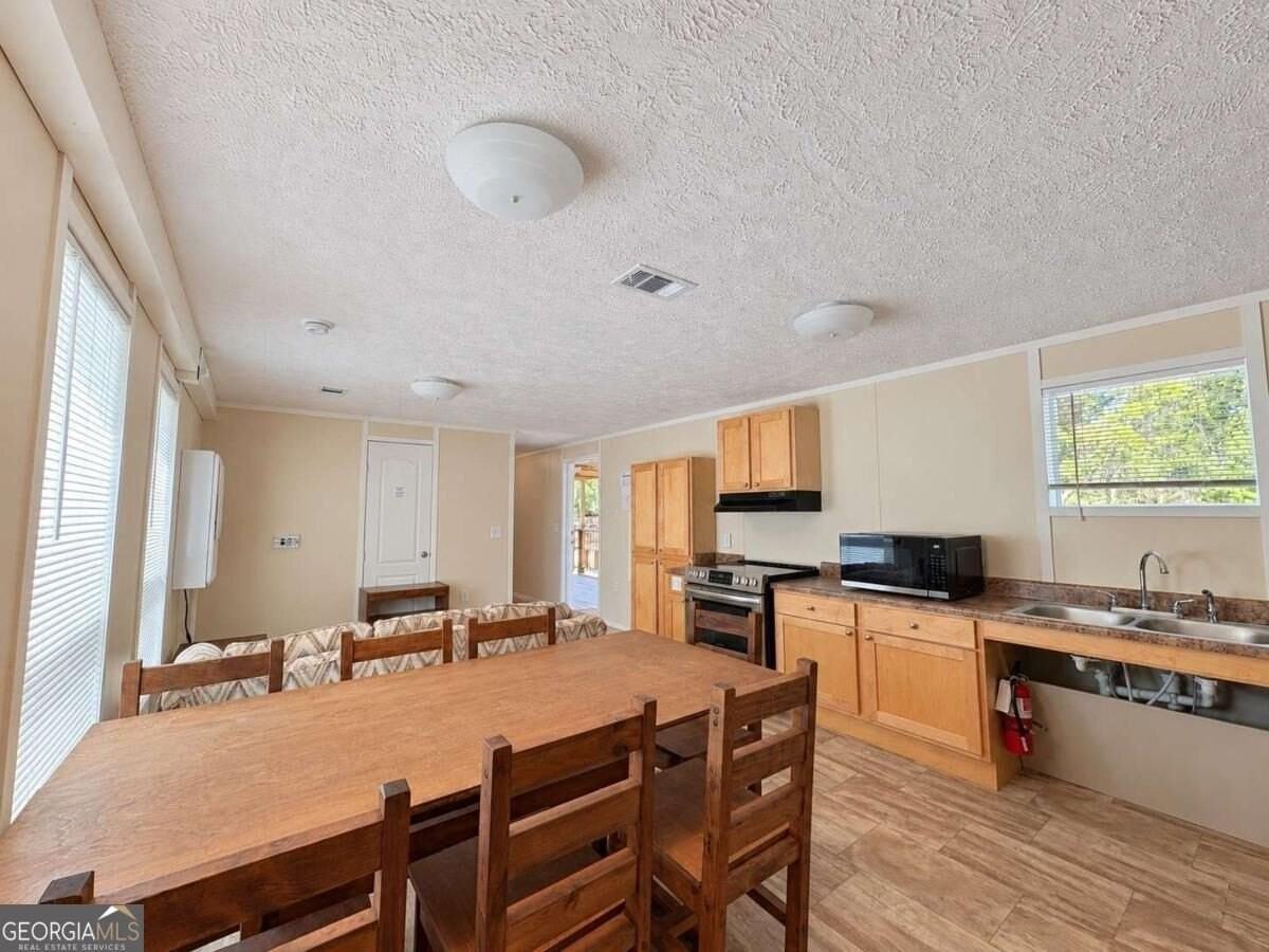 203 Sloan St - Photo 6 of 14