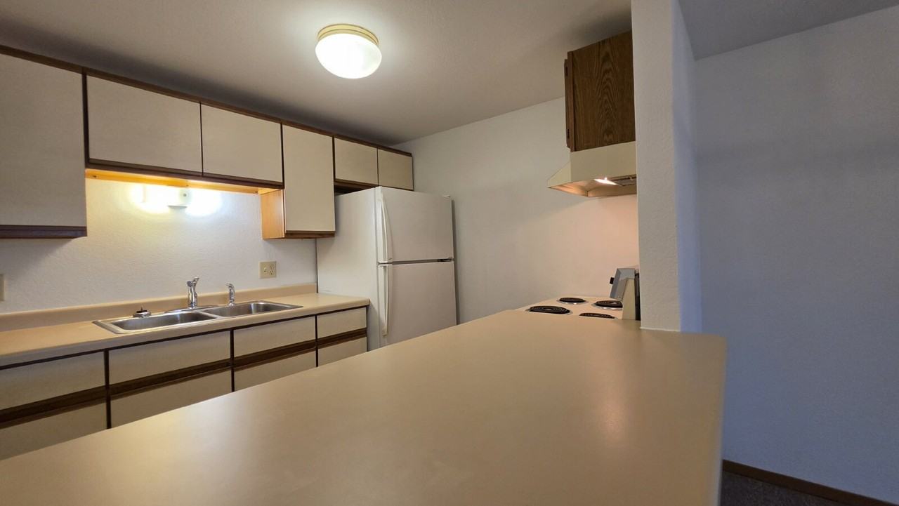 103 N Elm St Apt E - Photo 4 of 16