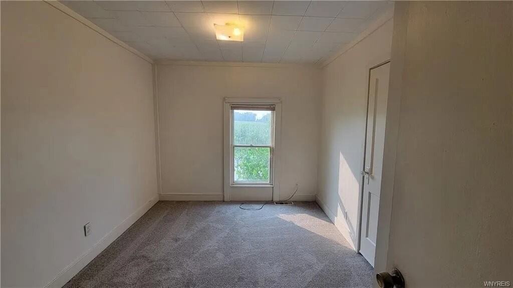 6518 Ellicott Street Rd #B - Photo 7 of 9