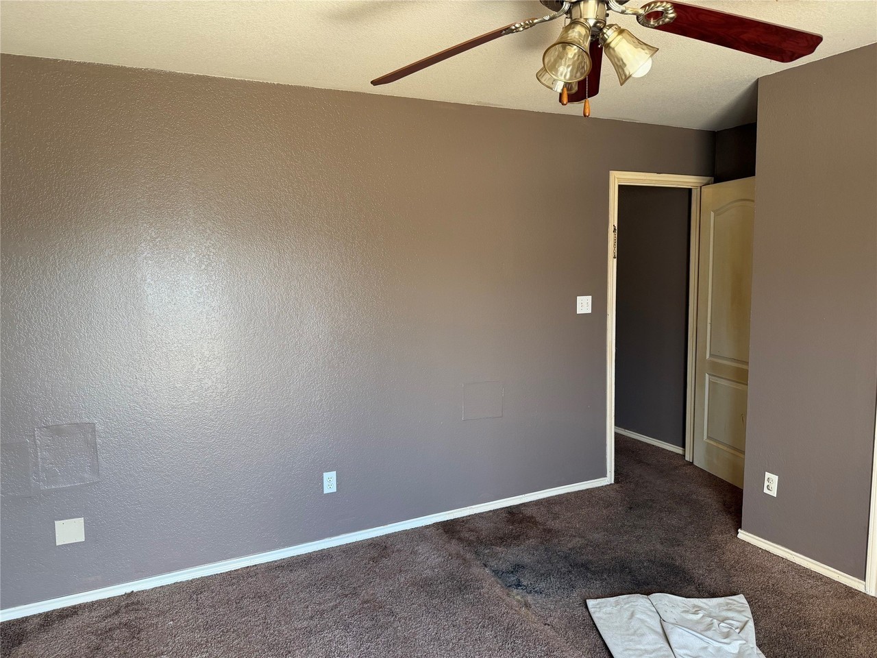 16341662 Kennedy St - Photo 5 of 6