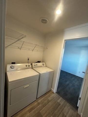 1013 Tangelo St - Photo 7 of 10