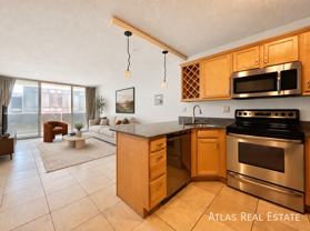 909 Logan Street Apt 9E - Photo 1 of 1